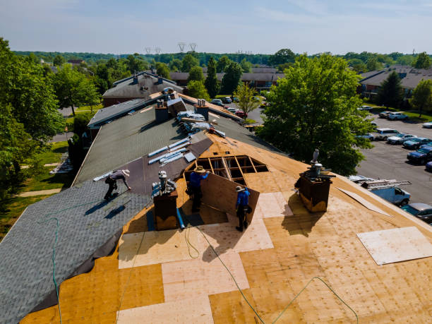 Best Storm Damage Roof Repair  in Audubon, IA
