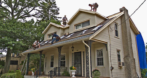 Best Best Roofing Contractors  in Audubon, IA