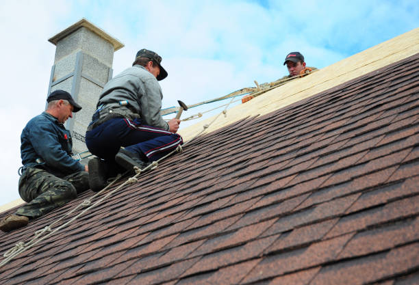 Best Roofing Contractor Near Me  in Audubon, IA