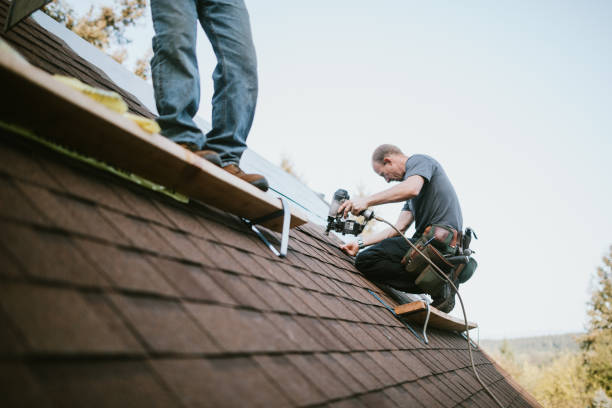 Best Residential Roofing Contractor  in Audubon, IA
