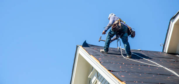 Best Roof Waterproofing Services  in Audubon, IA